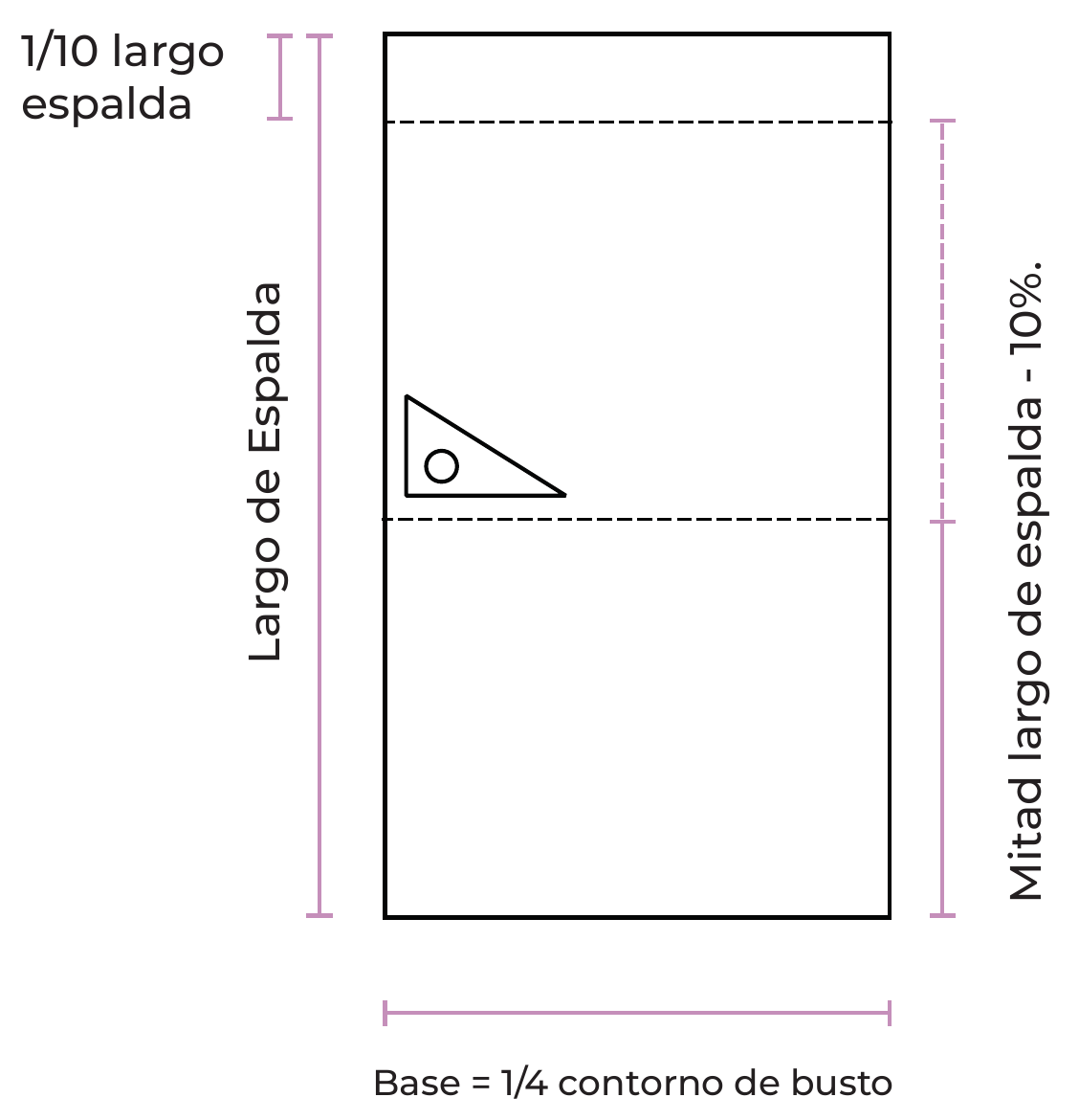 Rectángulo base de la espalda: 1/4 del contorno de busto por el largo de espalda